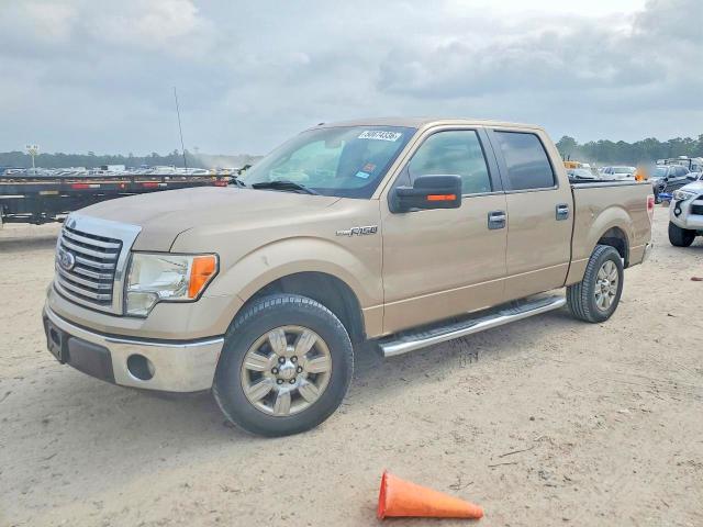 50674336 :رقم المزاد ، 1FTEW1CM5CKD29794 vin ، 2012 Ford F150 مزاد بيع