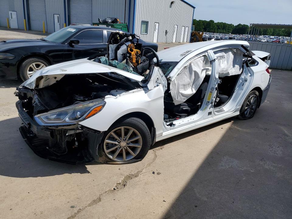 Auction sale of the 2019 Hyundai Sonata, vin: 5NPE24AF3KH770144, lot number: 51801216