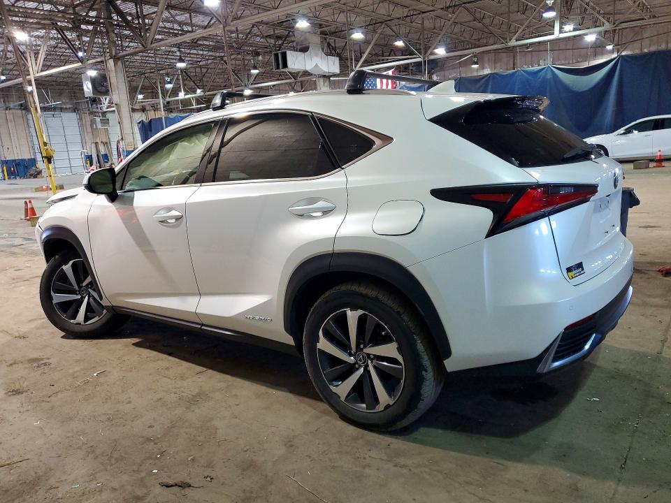 Продаж на аукціоні авто 2020 Lexus Nx, vin: JTJGJRDZ6L5003501, номер лоту: 50261016