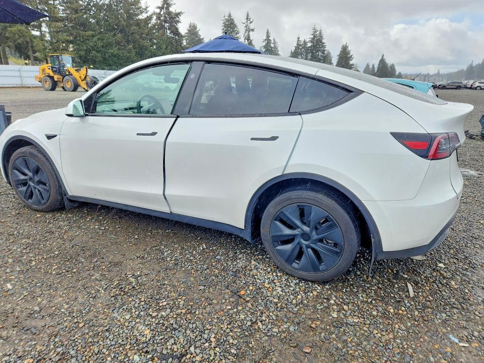 Продаж на аукціоні авто 2024 Tesla Model Y, vin: 7SAYGDEE4RF190459, номер лоту: 49838876