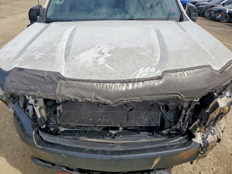 Продажа на аукционе авто 2020 Chevrolet Silverado, vin: 1GCPYFED9LZ356212, номер лота: 79756315