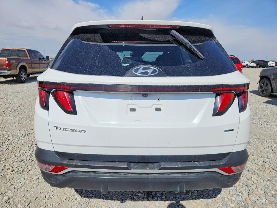 2024 Hyundai Tucson მანქანა იყიდება აუქციონზე, vin: 5NMJBCDE5RH362473, აუქციონის ნომერი: 51647196