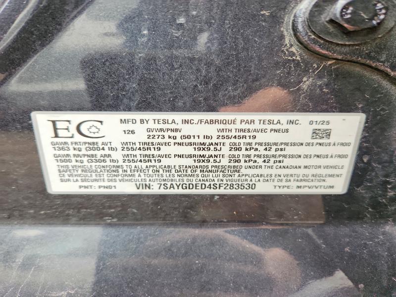 Продаж на аукціоні авто 2025 Tesla Model Y, vin: 7SAYGDED4SF283530, номер лоту: 49887336