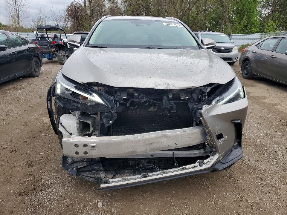 Aukcja sprzedaży 2023 Lexus Nx, vin: 2T2ADCEZ8PC002849, numer aukcji: 50801626