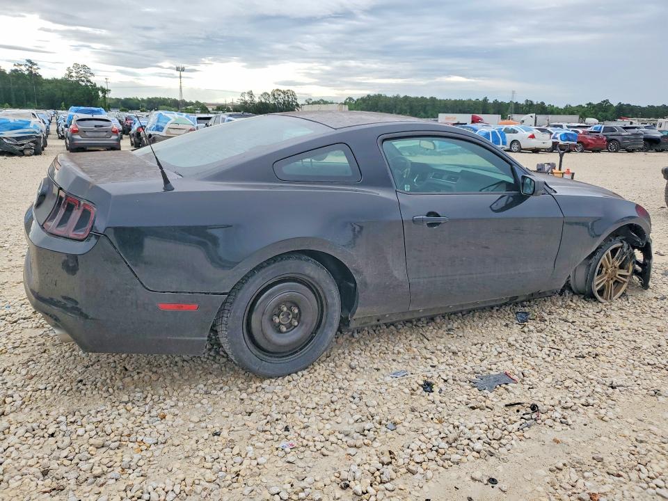 2014 Ford Mustang მანქანა იყიდება აუქციონზე, vin: 1ZVBP8AM2E5268432, აუქციონის ნომერი: 50726846