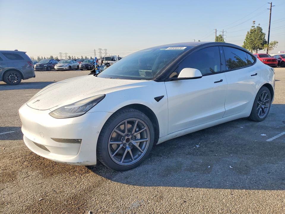 48806656 :رقم المزاد ، 5YJ3E1EA5KF299883 vin ، 2019 Tesla Model 3 مزاد بيع