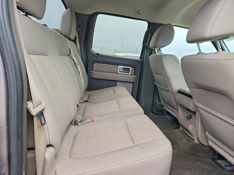 50527496 :رقم المزاد ، 1FTEW1E82AFC41033 vin ، 2010 Ford F150 مزاد بيع