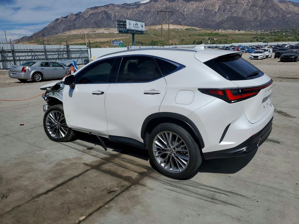 48981366 :رقم المزاد ، 2T2HGCEZ5NC010216 vin ، 2022 Lexus Nx 350 مزاد بيع