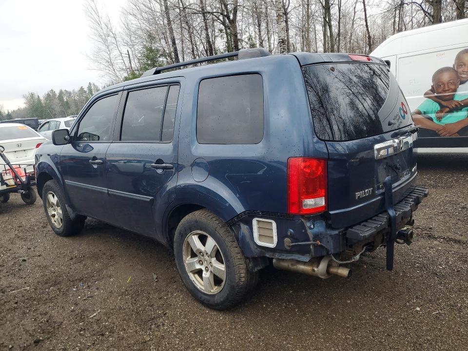 50052306 :رقم المزاد ، 5FNYF48269B501455 vin ، 2009 Honda Pilot مزاد بيع