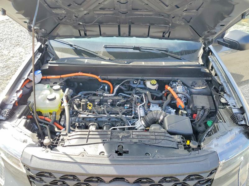 50645226 :رقم المزاد ، 3FTTW8A31SRA83122 vin ، 2025 Ford Maverick مزاد بيع