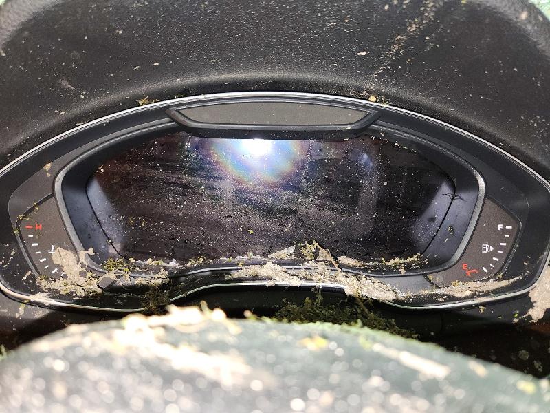 2019 Audi Q5 მანქანა იყიდება აუქციონზე, vin: WA1BNAFY2K2093974, აუქციონის ნომერი: 51654876