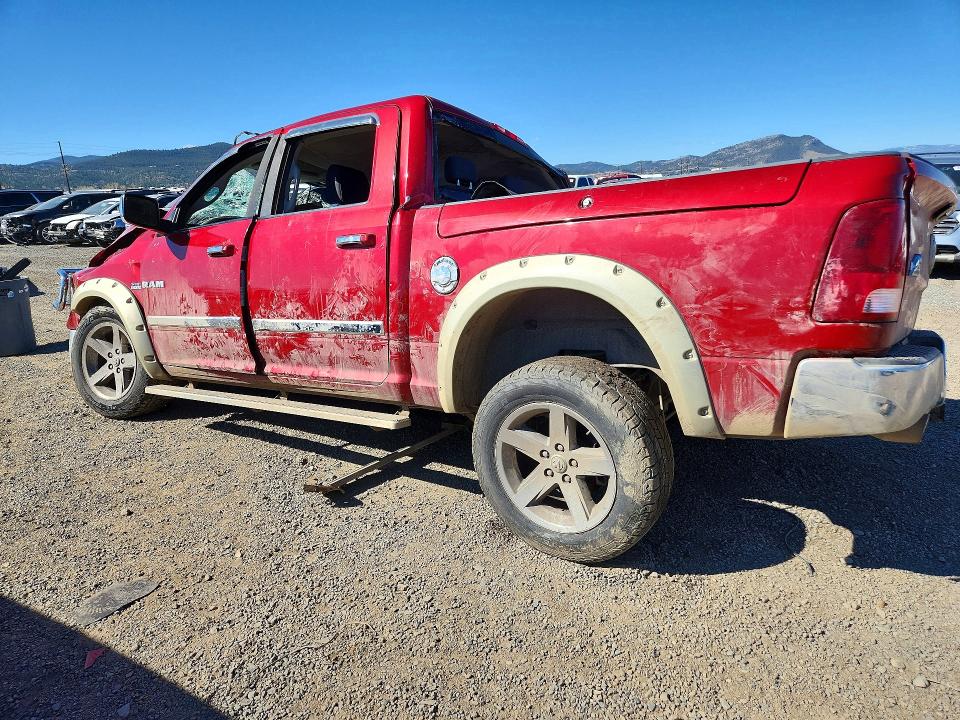 Aukcja sprzedaży 2009 Dodge Ram 1500, vin: 1D3HV13T09J519225, numer aukcji: 49151216