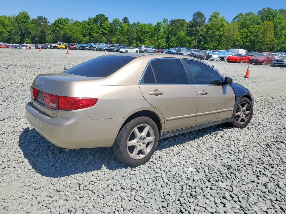 Продаж на аукціоні авто 2005 Honda Accord, vin: 1HGCM56475A084135, номер лоту: 50569646