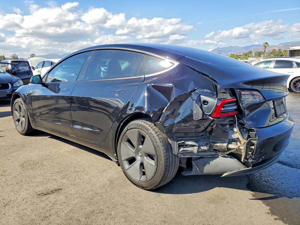 Продаж на аукціоні авто 2023 Tesla Model 3, vin: 5YJ3E1EA8PF562228, номер лоту: 50162066