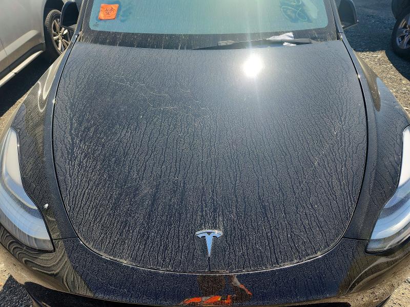 49056546 :رقم المزاد ، 5YJYGDED8MF132724 vin ، 2021 Tesla Model Y مزاد بيع