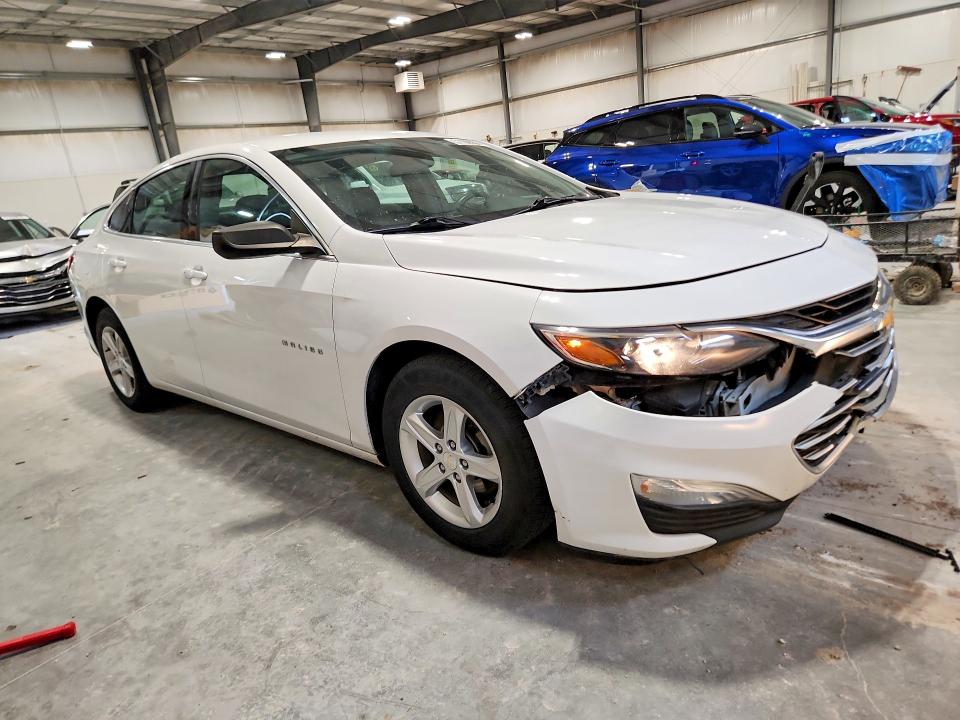 51109556 :رقم المزاد ، 1G1ZC5ST4KF195807 vin ، 2019 Chevrolet Malibu مزاد بيع