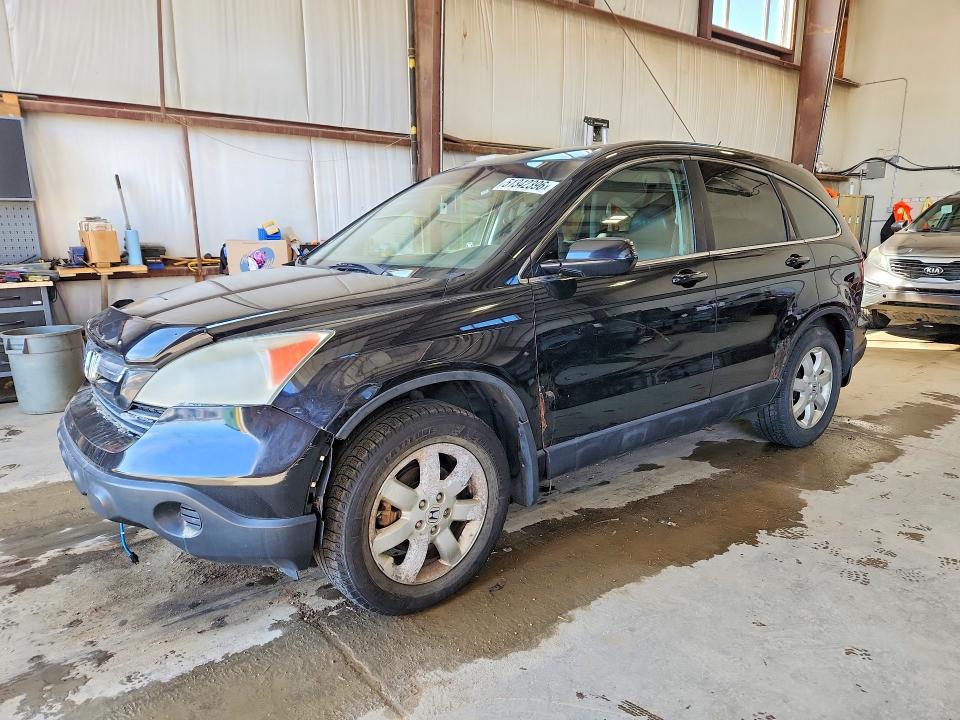 Auction sale of the 2007 Honda Cr-v, vin: 5J6RE48787L800081, lot number: 51342396
