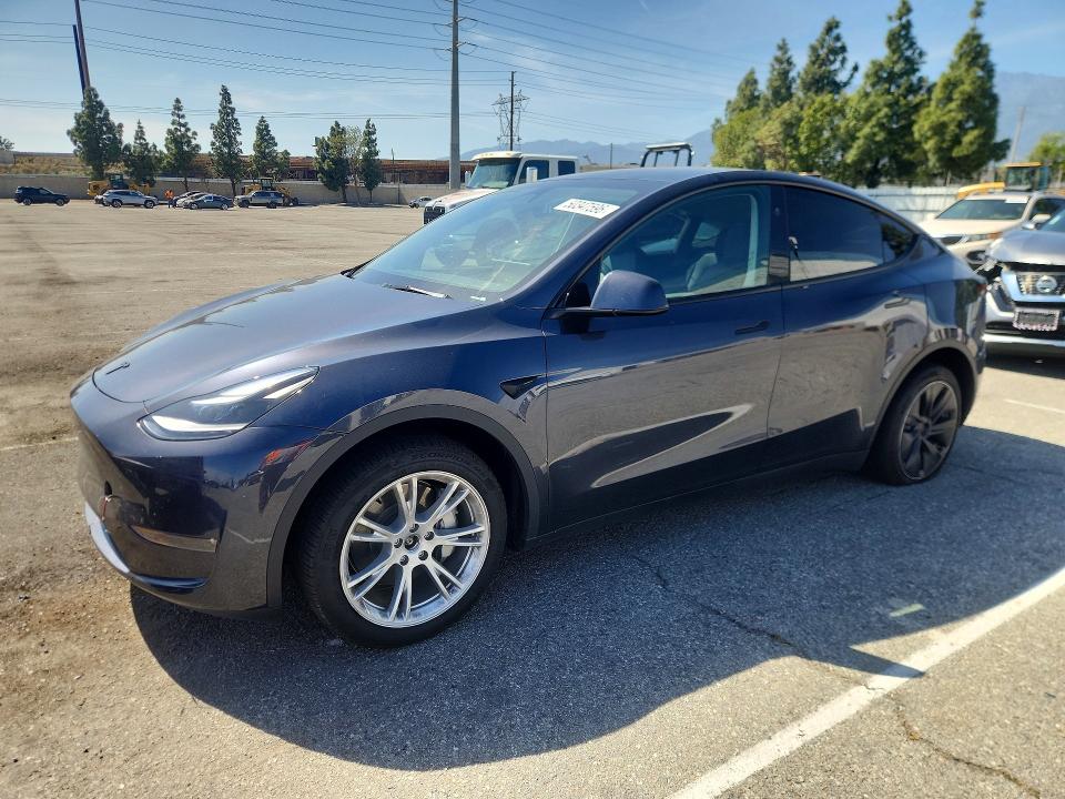 Продаж на аукціоні авто 2024 Tesla Model Y, vin: 7SAYGDEE2RA241955, номер лоту: 50347596