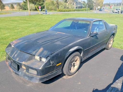 1987 Chev Camaro მანქანა იყიდება აუქციონზე, vin: 1G1FP21F9HN102666, აუქციონის ნომერი: 50521626
