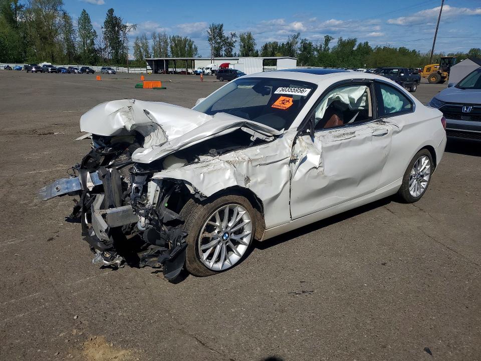 50355956 :رقم المزاد ، WBA1F5C52EV255411 vin ، 2014 Bmw 228 مزاد بيع