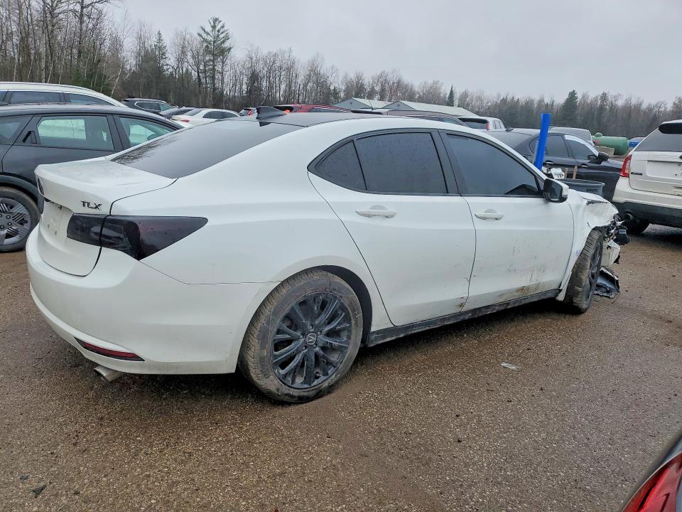48491506 :رقم المزاد ، 19UUB1F39FA800268 vin ، 2015 Acura Tlx مزاد بيع
