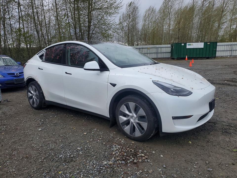 Продаж на аукціоні авто 2023 Tesla Model Y, vin: 7SAYGDEE1PF804249, номер лоту: 49501426
