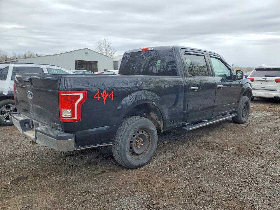 51503116 :رقم المزاد ، 1FTFW1EF3GFC91841 vin ، 2016 Ford F150 مزاد بيع