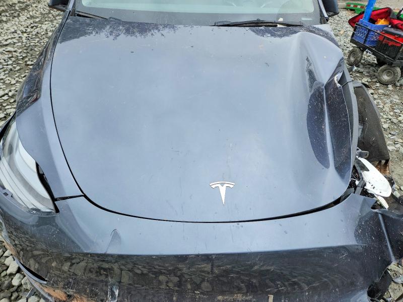51712756 :رقم المزاد ، 7SAYGDEE7PF854573 vin ، 2023 Tesla Model Y مزاد بيع