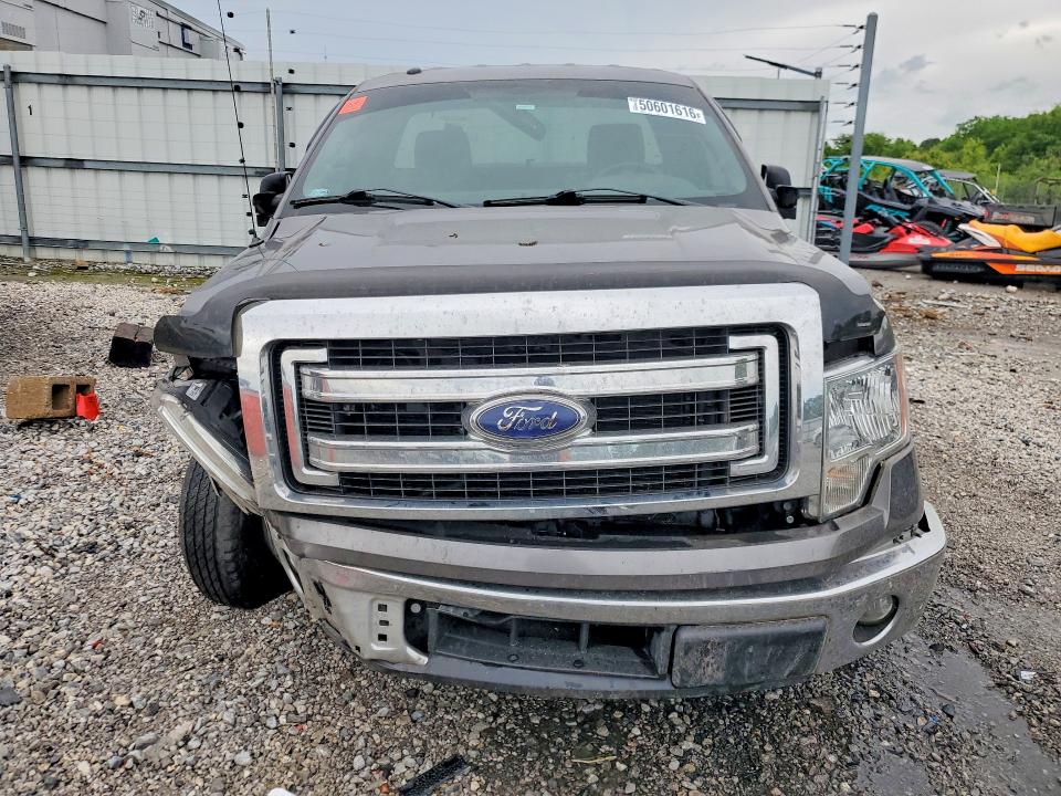 Продаж на аукціоні авто 2014 Ford F150, vin: 1FTMF1CM8EKD49746, номер лоту: 50601616
