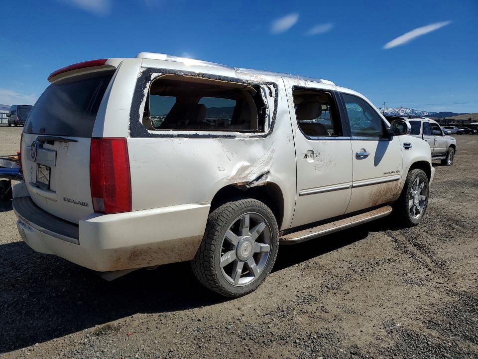 Продаж на аукціоні авто 2011 Cadillac Escalade, vin: 1GYS4HEF1BR100416, номер лоту: 49307276