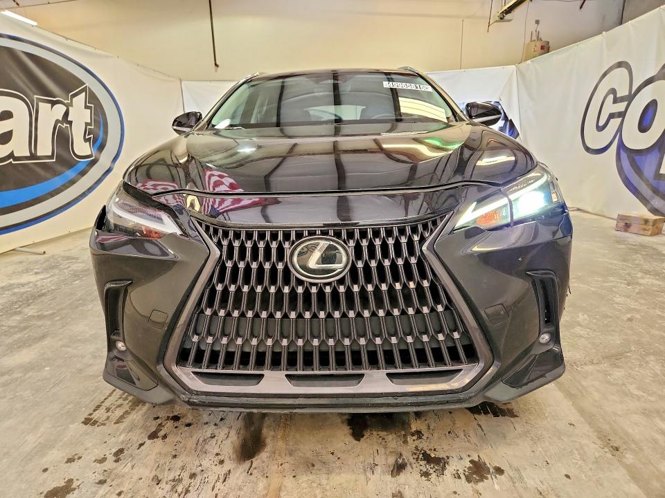 49965816 :رقم المزاد ، 2T2ADCAZ3NC001532 vin ، 2022 Lexus Nx مزاد بيع