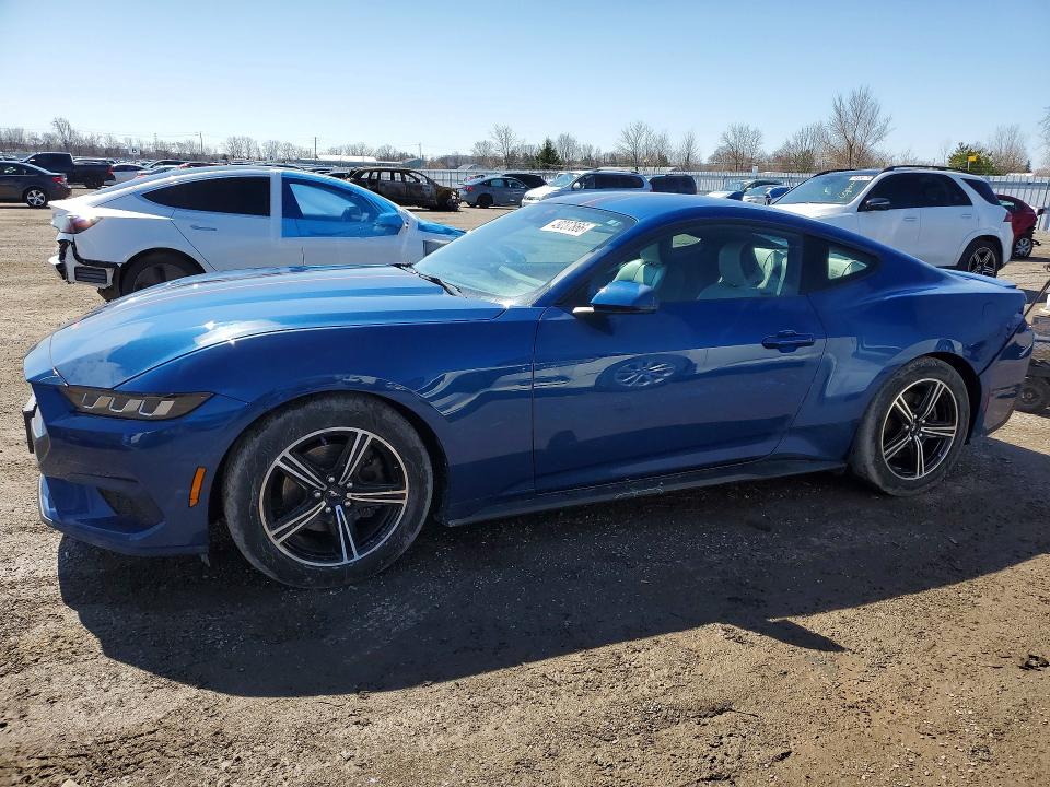 Продаж на аукціоні авто 2024 Ford Mustang, vin: 1FA6P8TH3R5112559, номер лоту: 49237866