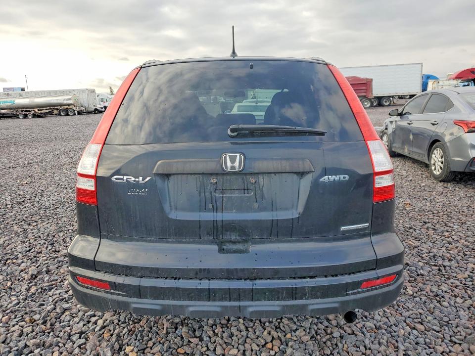 Auction sale of the 2011 Honda Cr-v, vin: 5J6RE4H4XBL084783, lot number: 48433186