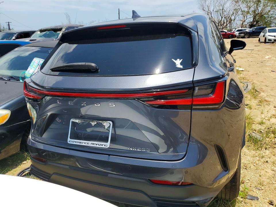 79054135 :رقم المزاد ، JTJGDCAZ8R2010534 vin ، 2024 Lexus Nx 250 مزاد بيع