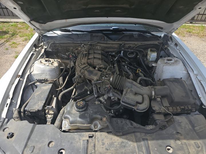 49283166 :رقم المزاد ، 1ZVBP8AM5E5332723 vin ، 2014 Ford Mustang مزاد بيع