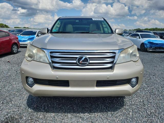 51310746 :رقم المزاد ، JTJJM7FX8D5054948 vin ، 2013 Lexus Gx 460 مزاد بيع