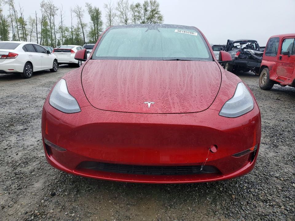 Продаж на аукціоні авто 2024 Tesla Model Y, vin: 7SAYGDEE8RF179853, номер лоту: 50185286