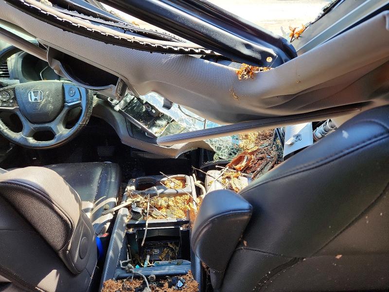 2019 Honda Odyssey მანქანა იყიდება აუქციონზე, vin: 5FNRL6H7XKB099353, აუქციონის ნომერი: 50686796