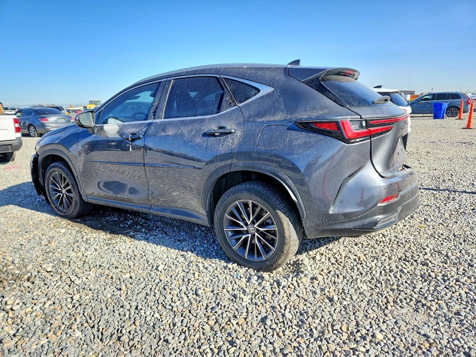 50681466 :رقم المزاد ، 2T2GKCEZ1NC004911 vin ، 2022 Lexus Nx مزاد بيع