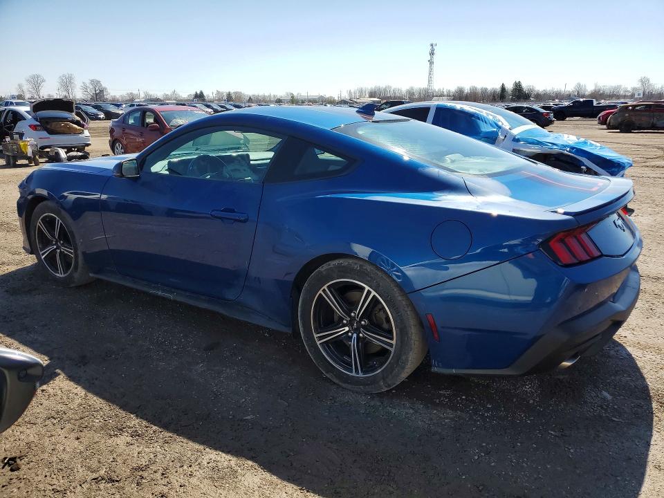 Продаж на аукціоні авто 2024 Ford Mustang, vin: 1FA6P8TH3R5112559, номер лоту: 49237866