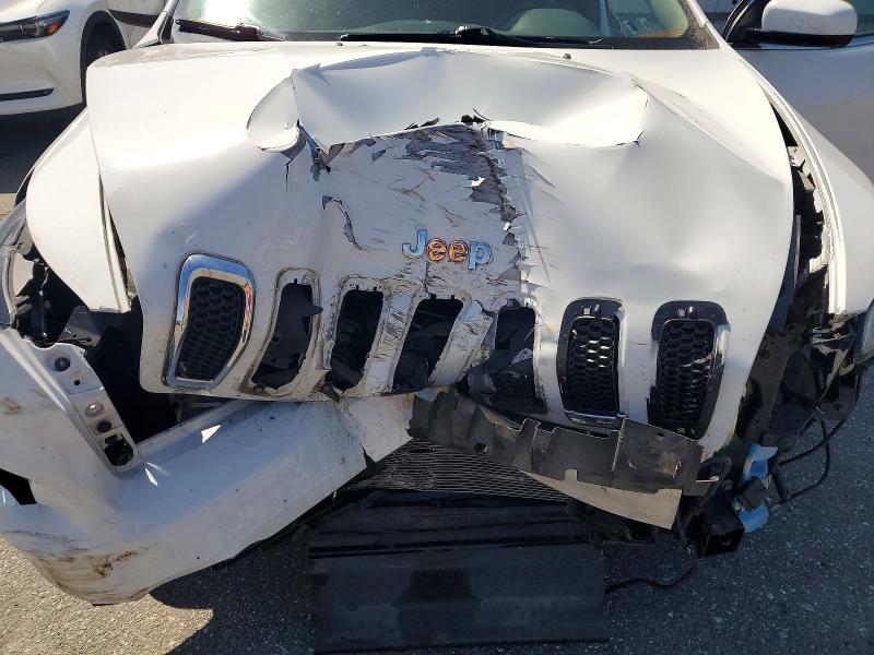 49156116 :رقم المزاد ، 1C4PJLCB8FW754151 vin ، 2015 Jeep Cherokee مزاد بيع