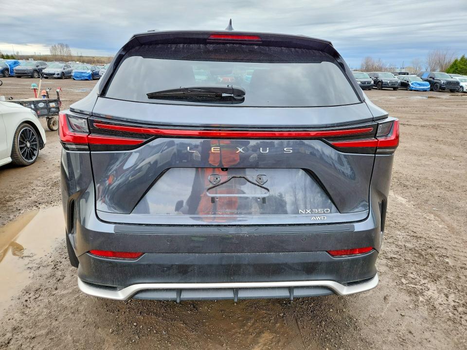 Продажа на аукционе авто 2024 Lexus Nx 350, vin: 2T2KGCEZ6RC054463, номер лота: 51701486