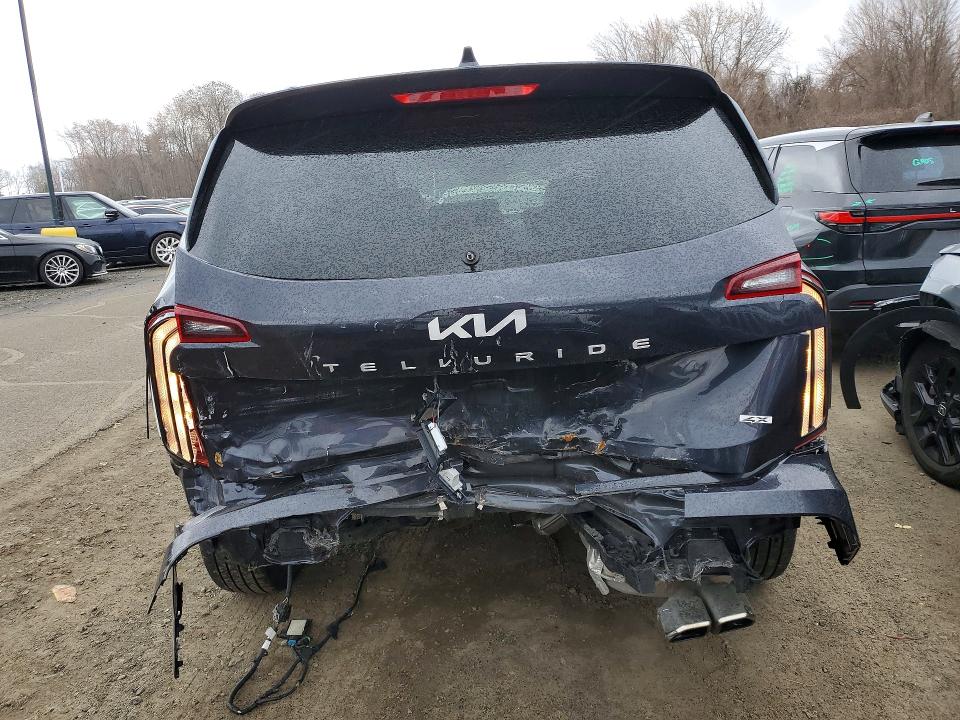 Aukcja sprzedaży 2025 Kia Telluride, vin: 5XYP6DGC6SG604380, numer aukcji: 48436826