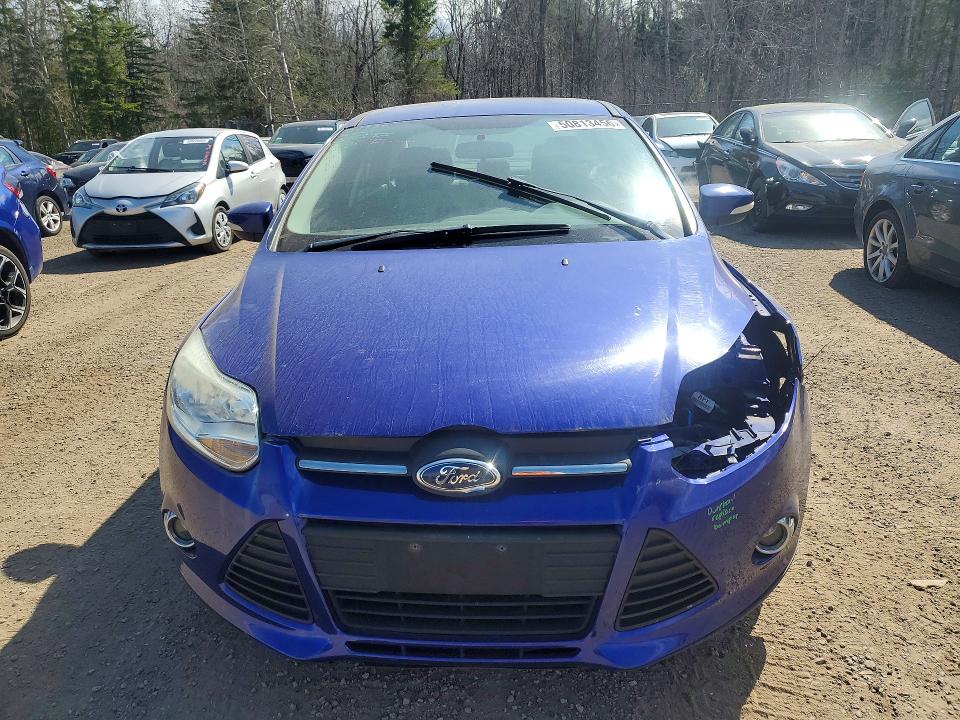 50813456 :رقم المزاد ، 1FADP3F25DL328130 vin ، 2013 Ford Focus مزاد بيع