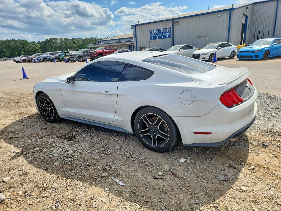 Продажа на аукционе авто 2019 Ford Mustang, vin: 1FA6P8TH3K5169642, номер лота: 49022546