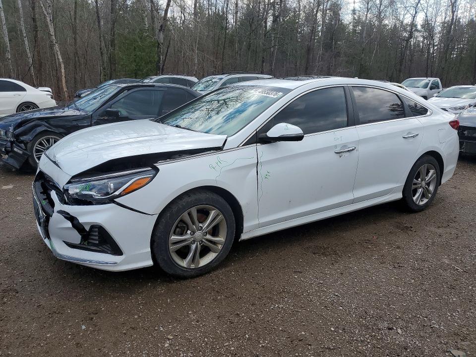 49550376 :رقم المزاد ، 5NPE34AF2KH760167 vin ، 2019 Hyundai Sonata مزاد بيع