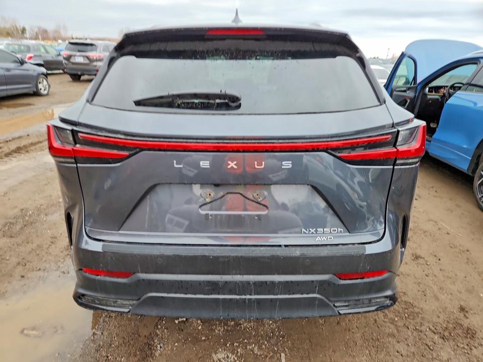 Продажа на аукционе авто 2025 Lexus Nx 350h, vin: 2T2GKCEZ9SC045718, номер лота: 48678836