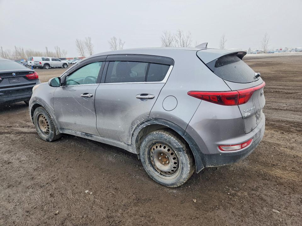 49147786 :رقم المزاد ، KNDPM3AC5H7106444 vin ، 2017 Kia Sportage مزاد بيع