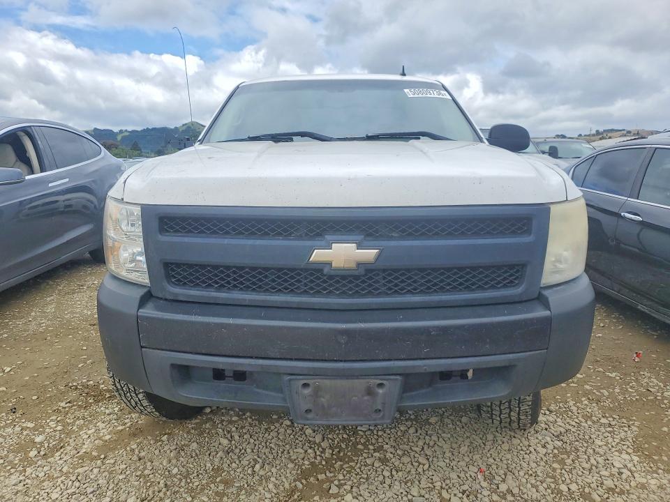 2008 Chevrolet Silverado მანქანა იყიდება აუქციონზე, vin: 1GCEC19X98Z213619, აუქციონის ნომერი: 50809736