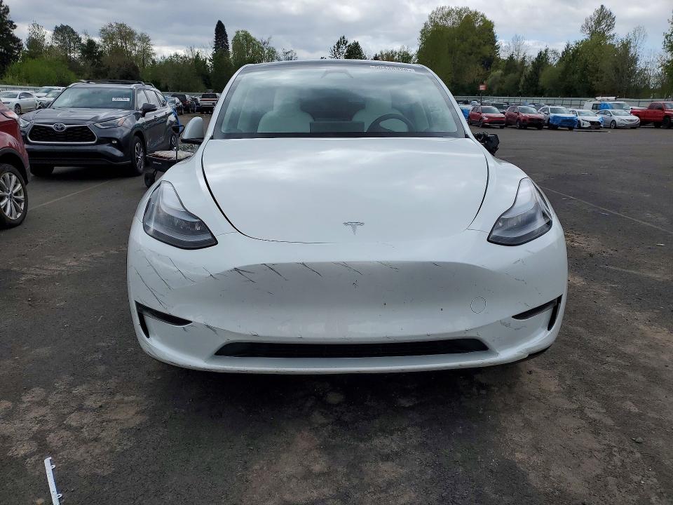 Продажа на аукционе авто 2025 Tesla Model Y, vin: 7SAYGDED0SF281595, номер лота: 50438926